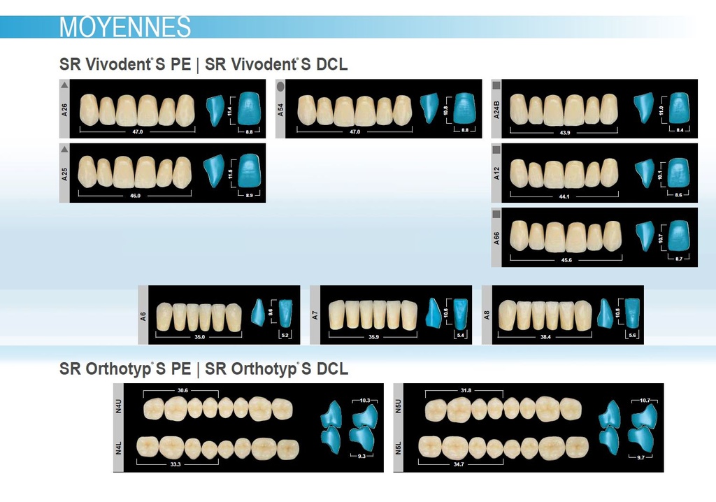 Formes Dents SR Orthotyp SPE postérieures