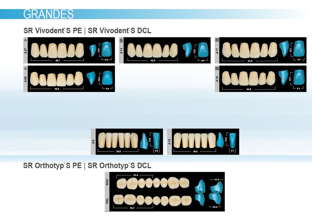 Formes Dents SR Orthotyp SPE postérieures