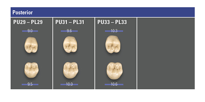 Formes Dents VITA MFT postérieures