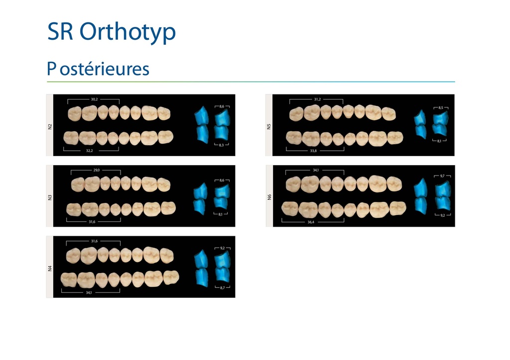 Formes Dents SR-AD Orthotyp postérieures