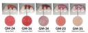 Teintes Initial Zr-FS Gum