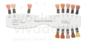 Teints Emax Ceram Gingiva