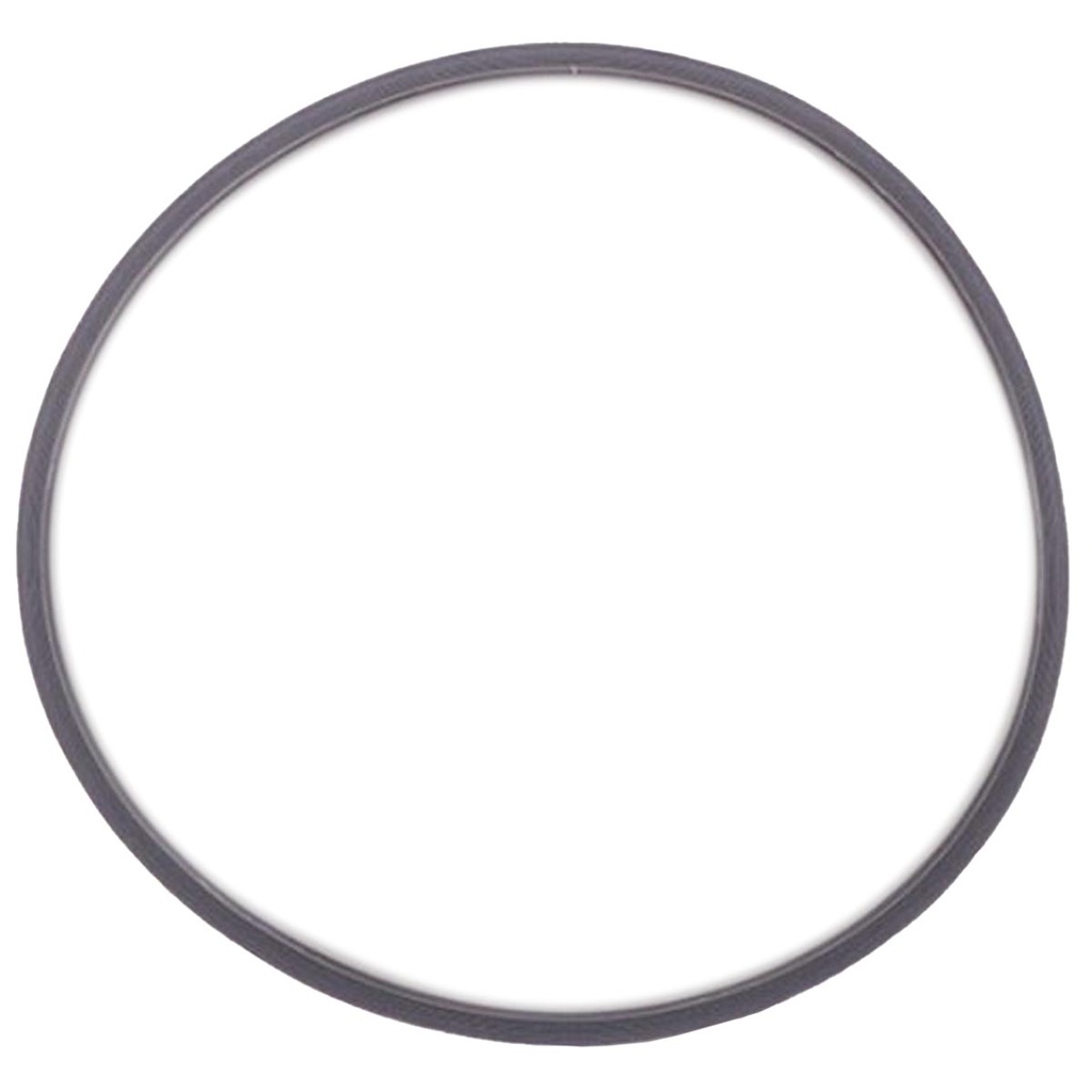 Joint de porte autoclave A-28 Platinum (28L) - Anthos