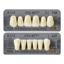 Dents MFT ant.