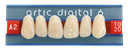 Dents Artic Ant.