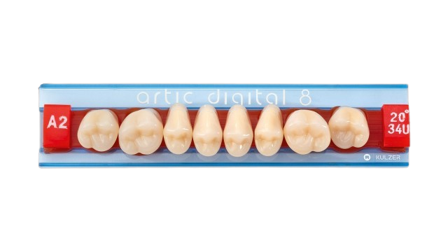 Dents Artic Post.