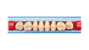 Dents Artic Post.