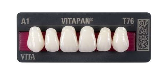 Dents VITAPAN ant.