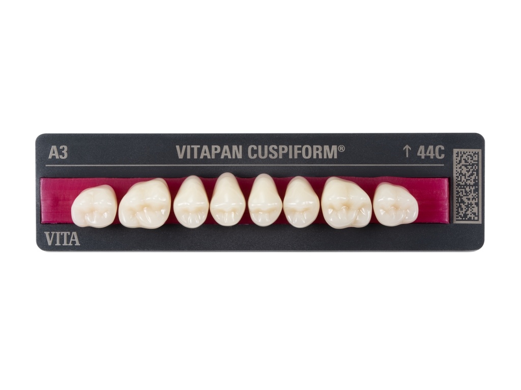 Dents VITAPAN post.