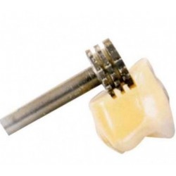 FRAISE à rétention Perform DA CU1