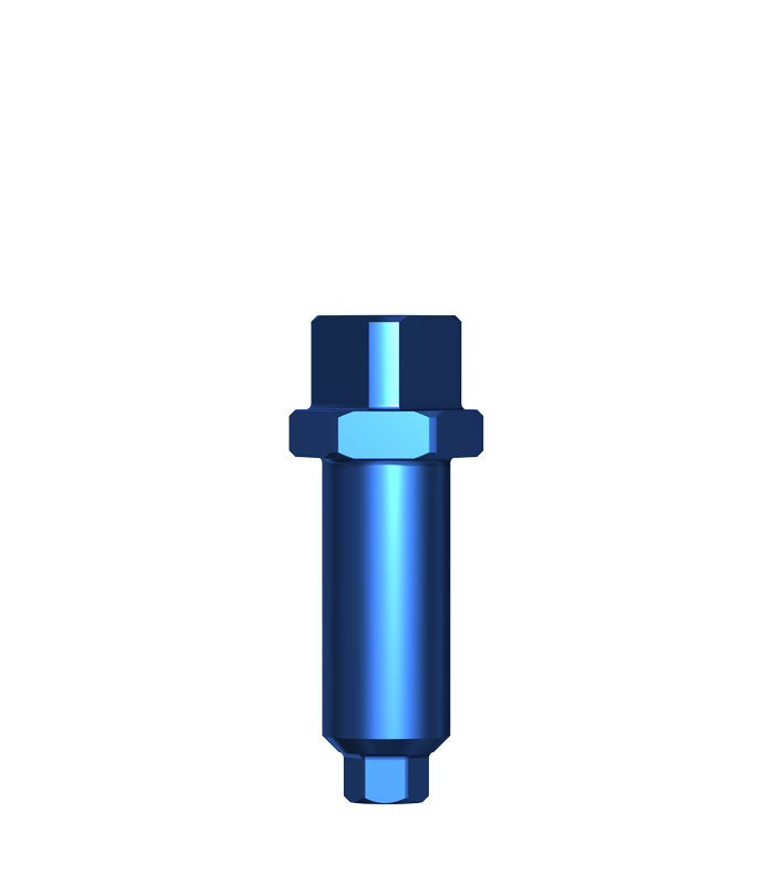 Implant Mount Internal Hex Small