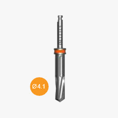 [65028] Foret D4.1 L10