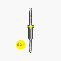 [65074] Foret D2.4 L16