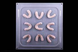 [D420024] Biolon pour Vacfomat V9 354 x 354 x 1 mm (x50 pièces)