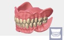 [EXO-ADDON-DENT-PERP] Exocad Module Full Denture - licence perpétuelle
