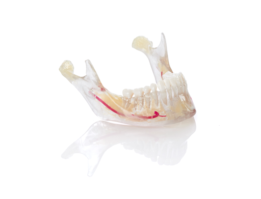 [STRA_OBJ-09138] Résine DentaJet VeroDent PureWhite DEN847