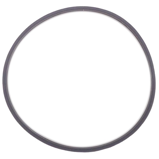 [97467471] Joint de porte autoclave A-28 Platinum (28L) - Anthos