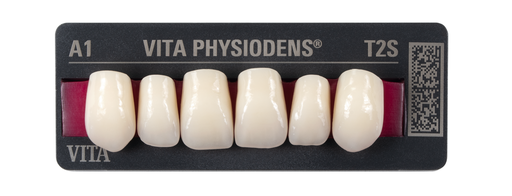 Dents Physiodens ant.