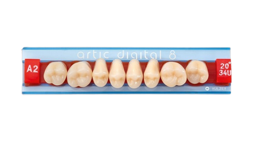 Dents Artic Post.