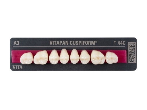 Dents VITAPAN post.