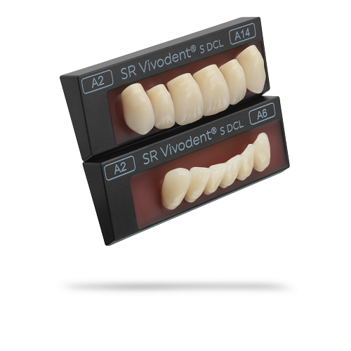 Dents S DCL ant.