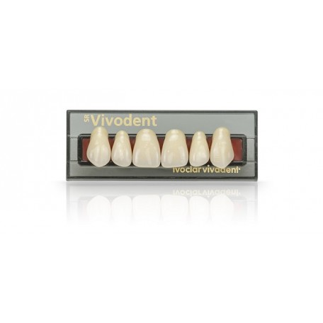 Dents SR ant.