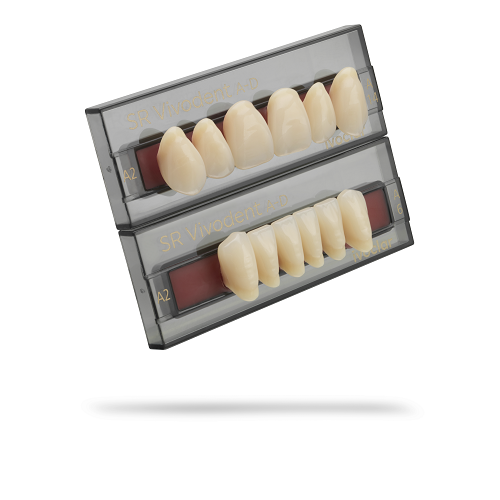 Dents SR-AD  ant.